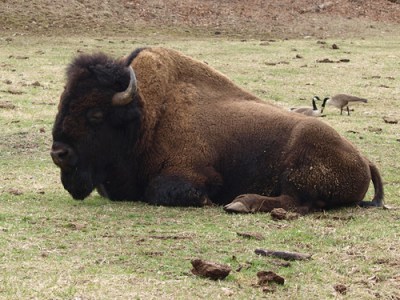 3663752833_9ba22b7055