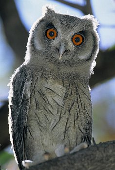 © Copyright 2010 CorbisCorporation