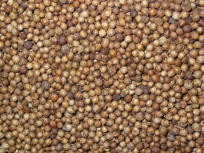799px-Coriandrum_sativum_004