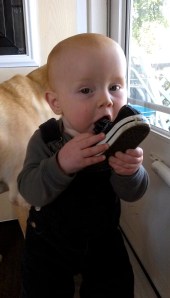 10437516_750392531697604_5156946027900629272_n