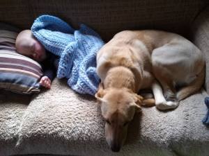 1911787_747463488657175_963611319142870065_n