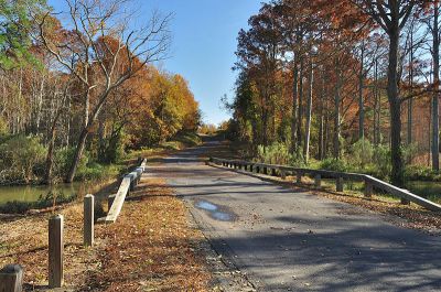 DSC_0067_(8187971025)