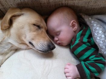 1488069_770029026400621_5346441143956460071_n