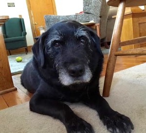 f503eb5a-2d90-44f2-ba21-32f9914a488a