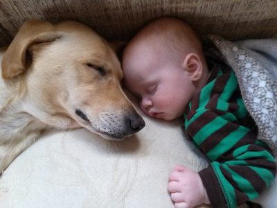 1488069_770029026400621_5346441143956460071_n